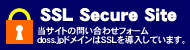 SSL Secure Site